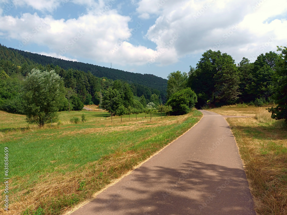 Radweg bei Darstein im Pfälzerwald in der Verbandsgemeinde Hauenstein, Landkreis Südliche Weinstraße, beginnt. 