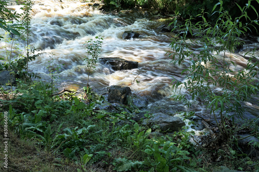 Am Ufer der Radau in Bad Harzburg, Harz, Niedersachsen - stream, bach, river, stretch of running water Am Ufer der Radau in Bad Harzburg, Harz, Niedersachsen - stream, bach, river, stretch of running water