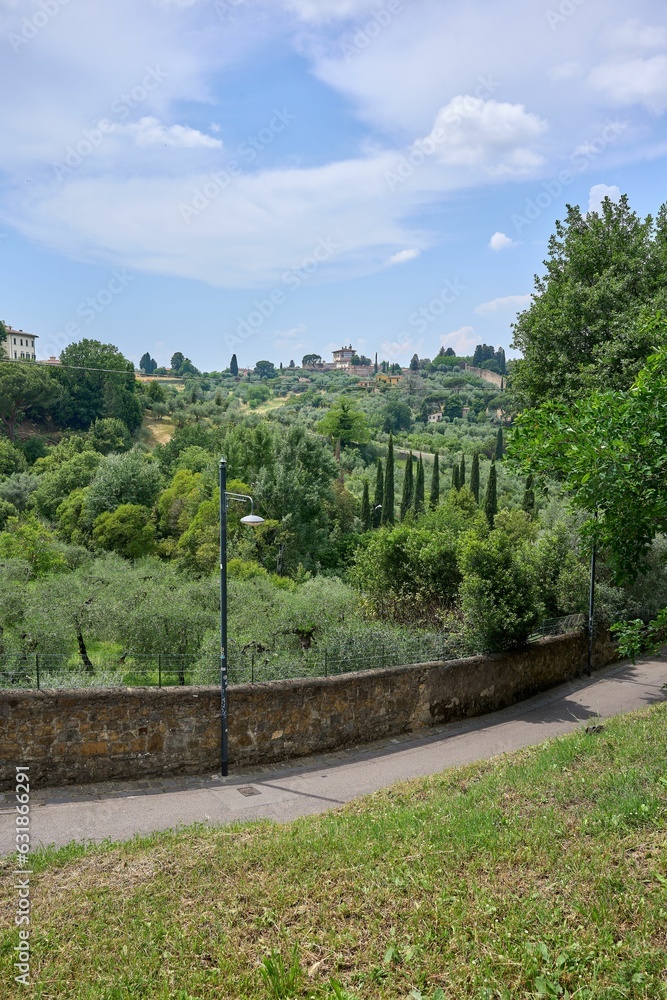 Empty road surrounded by lush greenery. Florence, Tuscany, Italy.