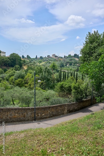Empty road surrounded by lush greenery. Florence, Tuscany, Italy.