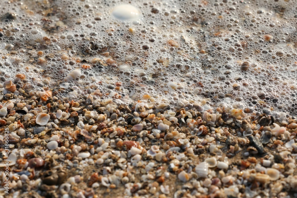 Sand and shells piled together on the beach sand covered with small waves Sand and shells piled together on the beach sand covered with small waves