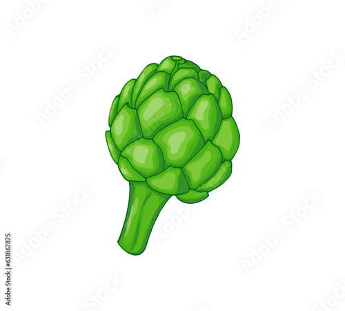 Hand-drawn Artichoke Vector illustration. Green artichoke bud vegetable illustration isolated on white background photo