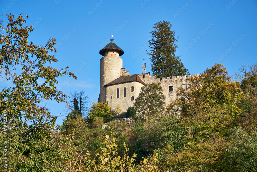 Schloss Birseck in Arlesheim umrahmt von herbstlichem golden leuchtendem Laub