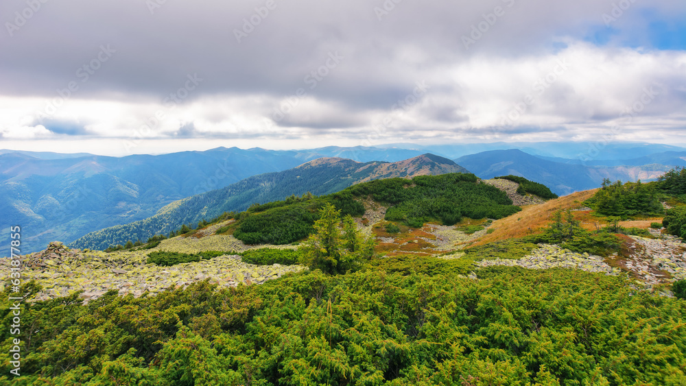 carpathian mountain landscape in early autumn. view from the peak of mountain strymba. beautiful scenery on a cloudy day. popular travel destination of ukraine carpathian mountain landscape in early autumn. view from the peak of mountain strymba. beautiful scenery on a cloudy day. popular travel destination of ukraine