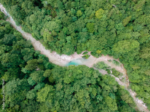 River in the forrest from above