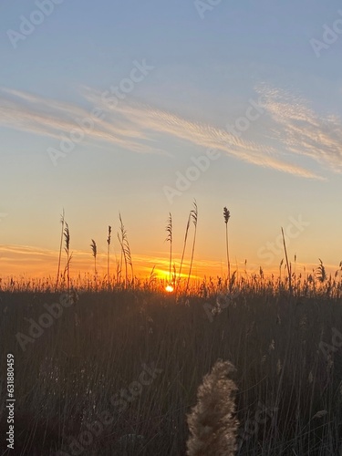 Sonnenuntergang in den Dünen photo