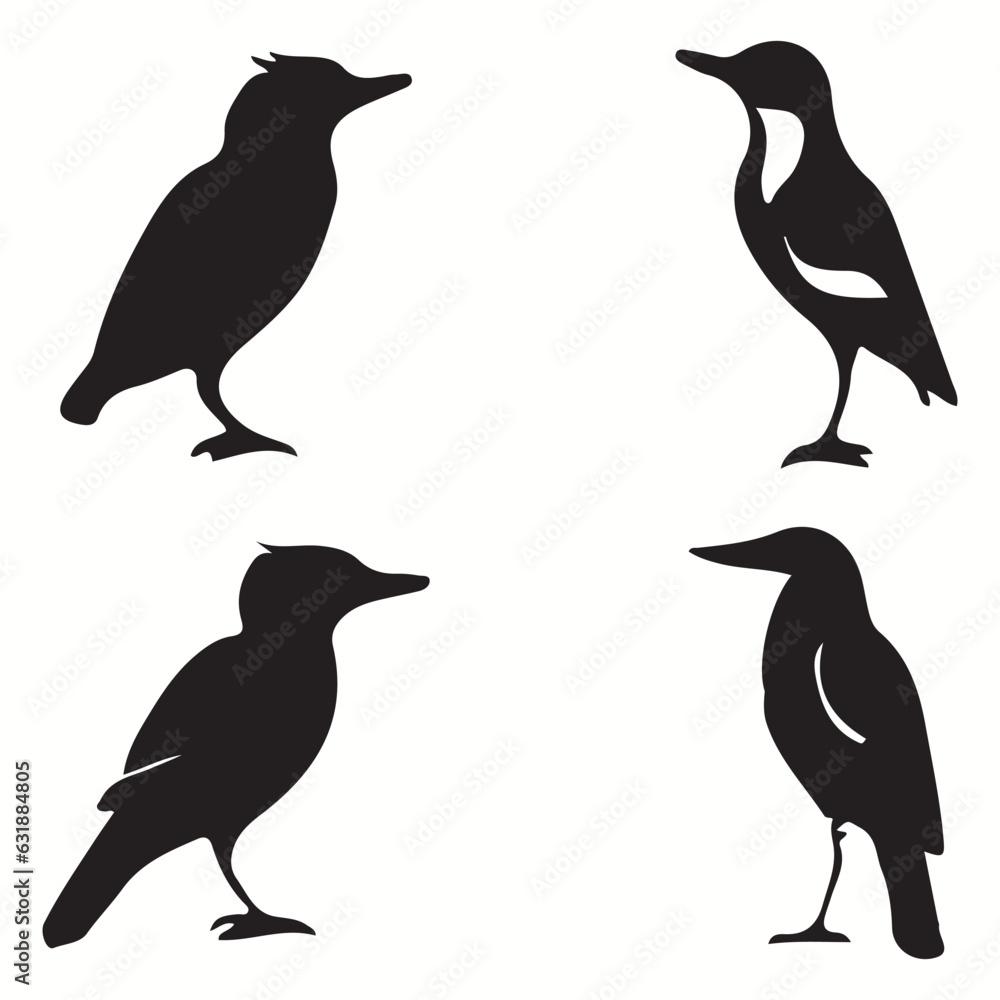 Obraz premium Bandicoot silhouettes and icons. Black flat color simple elegant Bandicoot animal vector and illustration. 