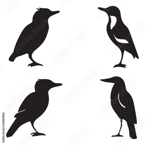 Bandicoot silhouettes and icons. Black flat color simple elegant Bandicoot animal vector and illustration. 