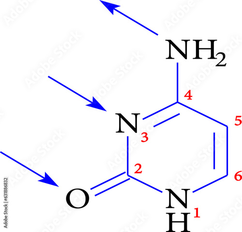 structure of cytosine , vector illustration