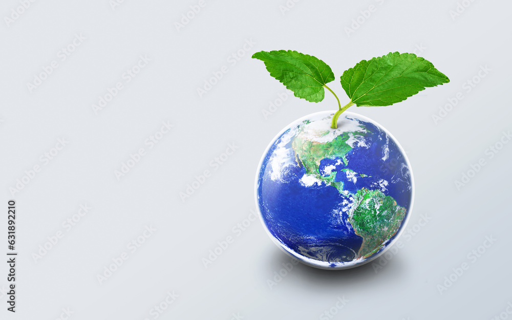 Small green tree grow up on top of the earth world on light background, Green save earth day concept, Elements of this image furnished by NASA Small green tree grow up on top of the earth world on light background, Green save earth day concept, Elements of this image furnished by NASA