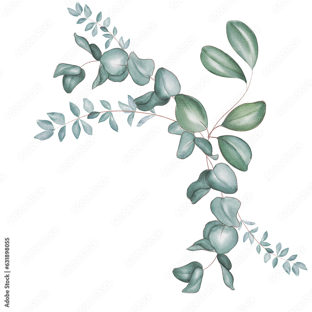 Watercolor bouquet of green eucalyptus branches and leaves isolated on ...
