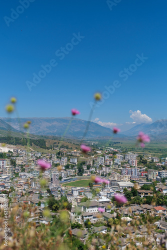 Aerial view of Gjirokaster, Albania, with pink wildflowers in the foreground, the city spread across the valley, and mountains beyond.