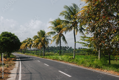 Scenic sunny road with palm trees. The concept of travel and tourism