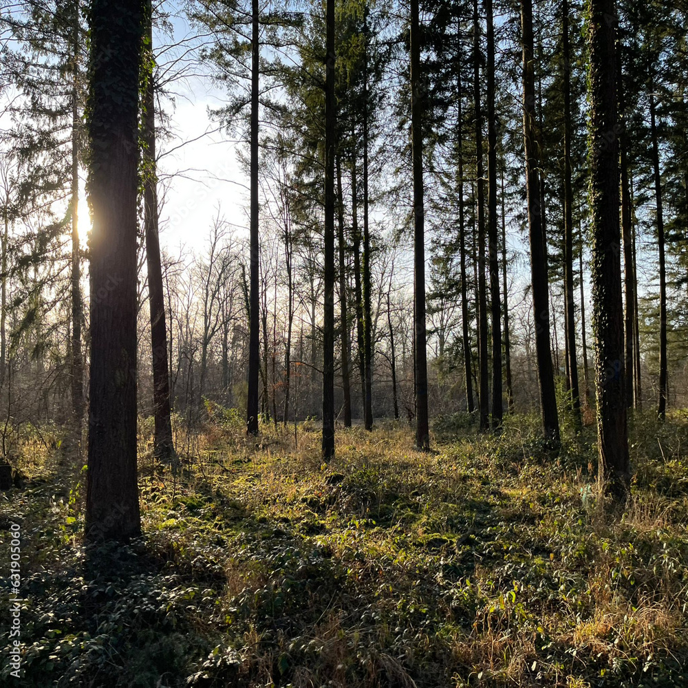 German Nature German Nature