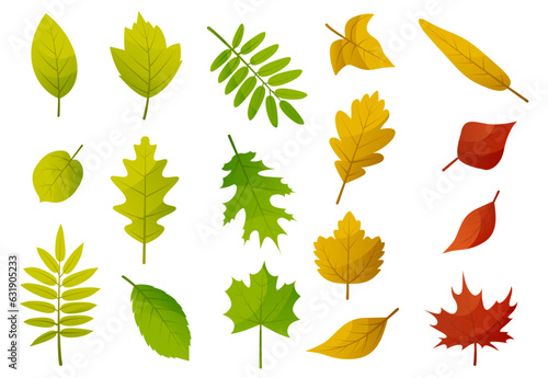 Autumn leaves set. Yellow foliage leaf collection. Autumn design element. Vector illustration EPS10