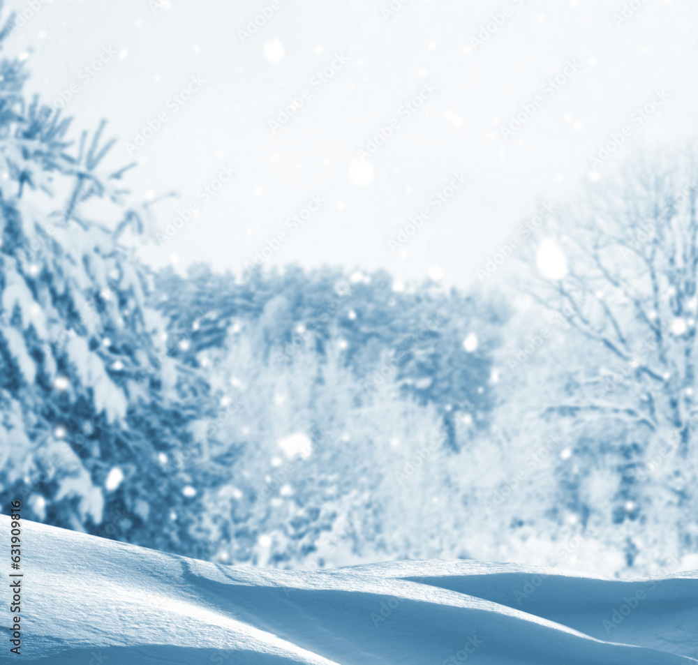 Fototapeta premium Landscape. Frozen winter forest with snow covered trees.