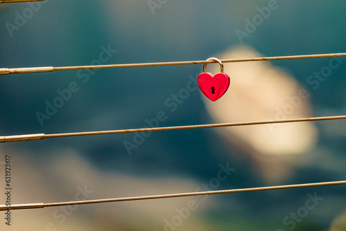 Lock padlock on bridge rail.