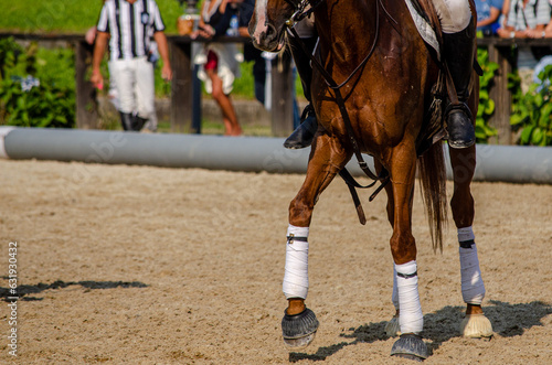 detail of the legs of a horse in a horseball game © Vic