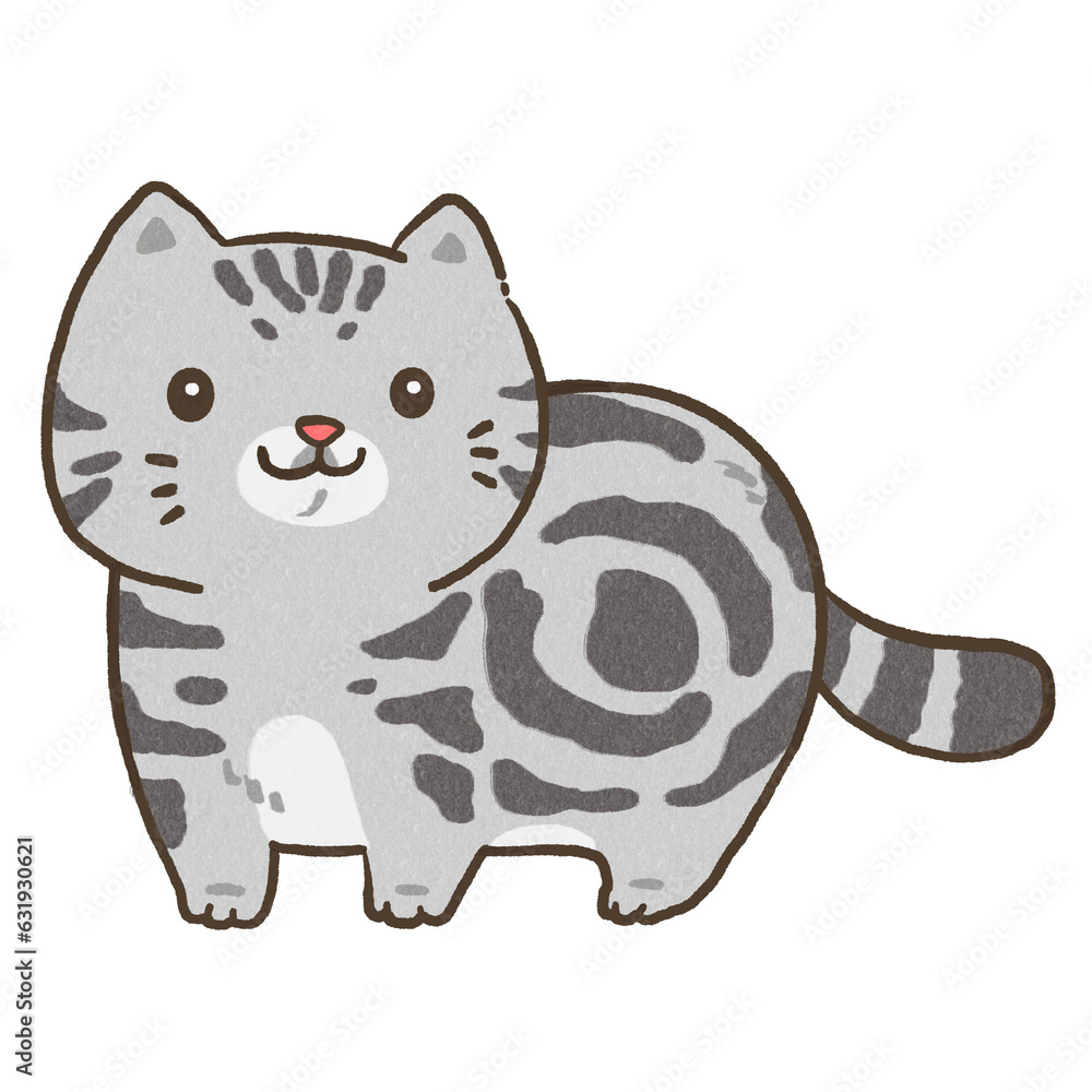 Obraz premium cute cat