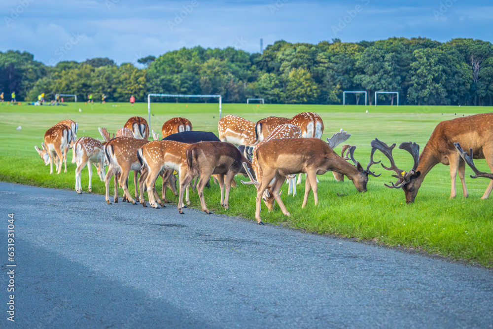 Naklejka premium Dublin, Ireland - July 12 2023 -