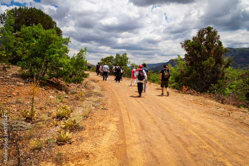 Young and old, men and women trekking. Sport in nature.