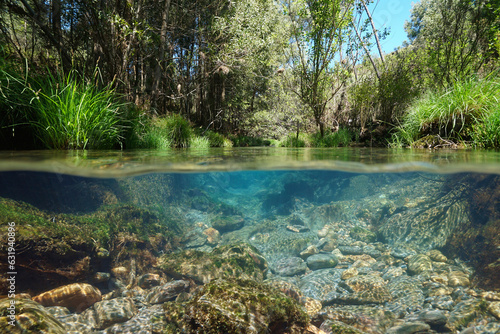 Wild river with clear water, natural scene, split view over and under water surface, Spain, Galicia, Pontevedra province