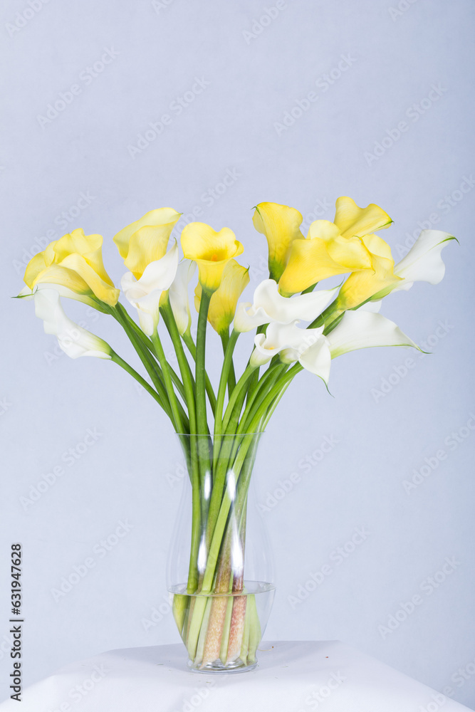 Beautiful bouquet arranged in a vase, on a white background