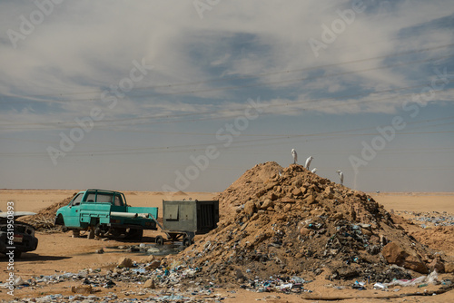 some egret sitting on a trash hill and there are some broken pickups 