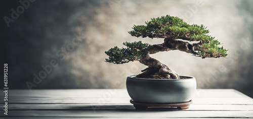 Fotografiet immagine primo piano di elegante bonsai di conifera in raffinato vaso in ceramic