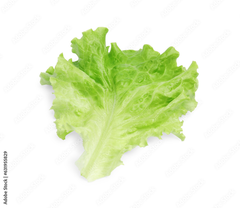 Fresh green lettuce leaf isolated on white Fresh green lettuce leaf isolated on white