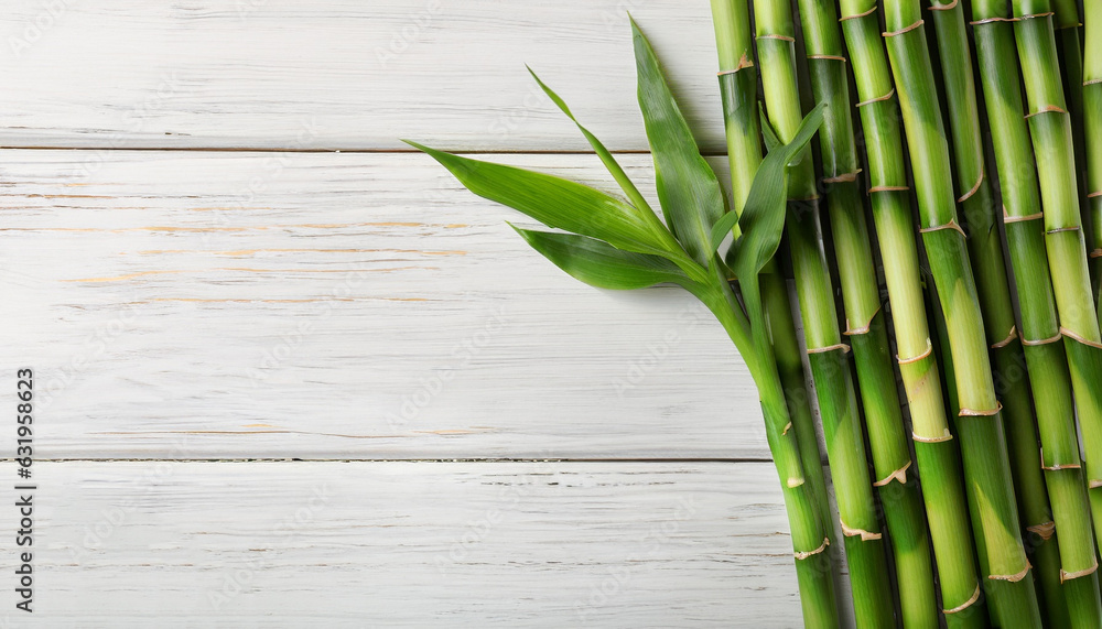 Obraz premium Green bamboo stems on white wooden background, top view. Space for text