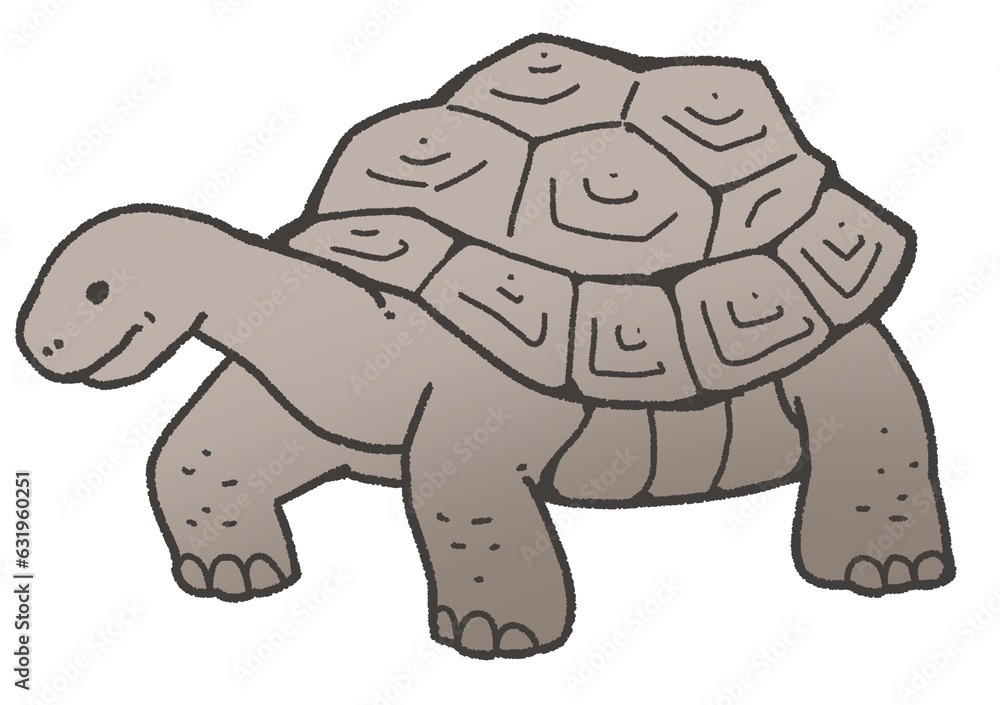 Obraz premium ゾウガメ