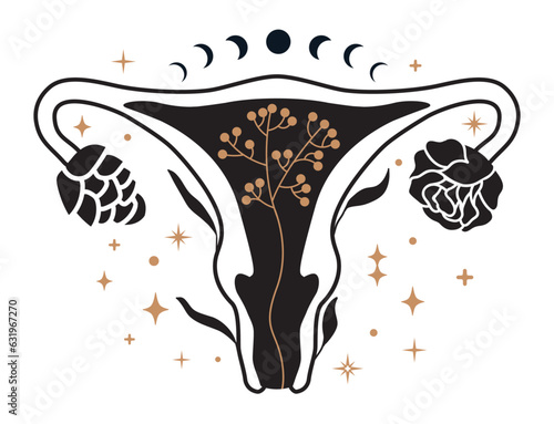 Feminism concept. Organ of the uterus with flowers. Beautiful female reproductive. surrounded by stars and moon phases.