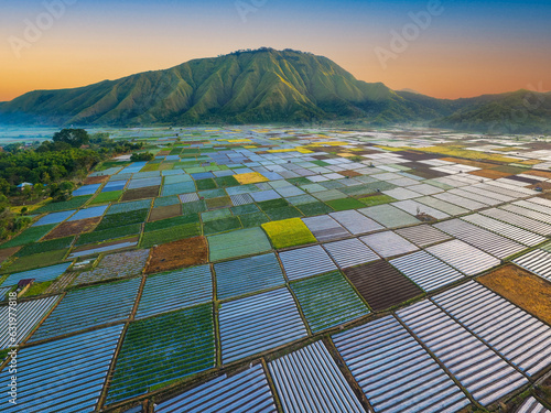 colourful farm in Sembalunlawang, Lombok Indonesia. photo