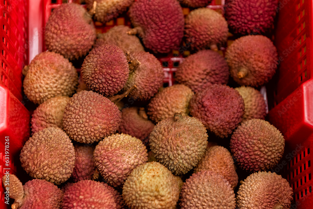 Lychees - Litchi chinensis Lychees - Litchi chinensis