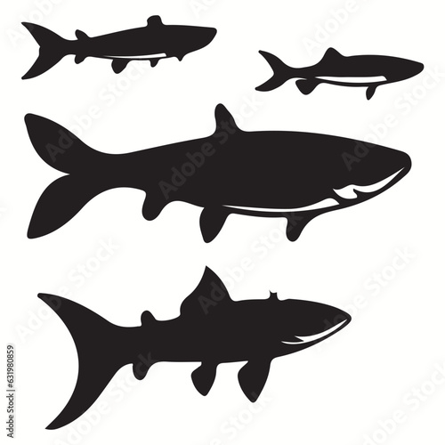 Barracuda silhouettes and icons. Black flat color simple elegant Barracuda animal vector and illustration. 