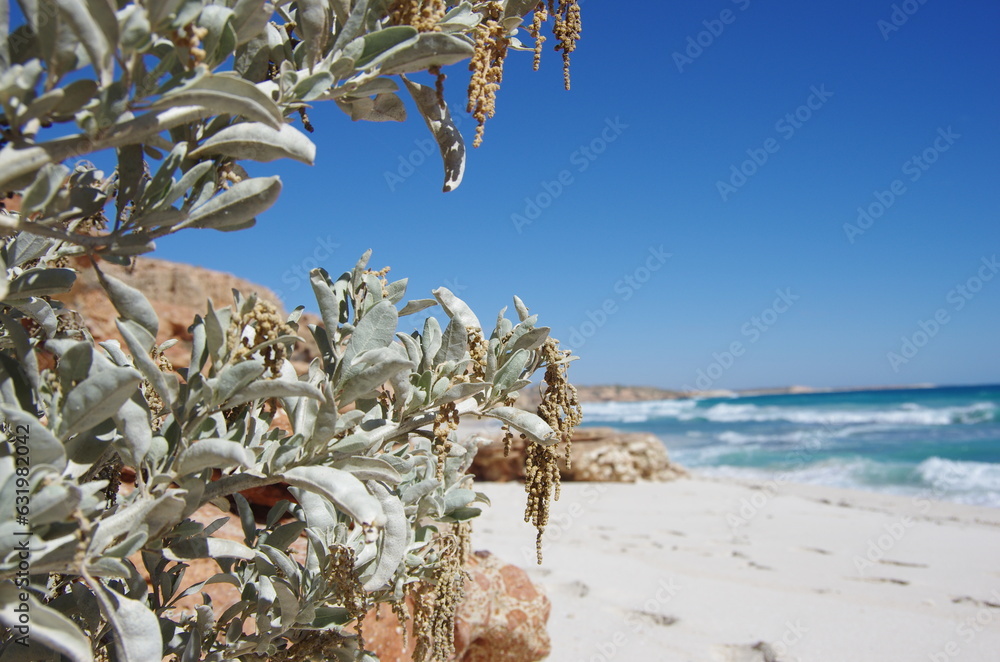 Fototapeta premium The Coastline in the North West of Western Australia