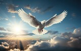Spirit of god background banner panorama - White dove with wings wide open in the blue sky.