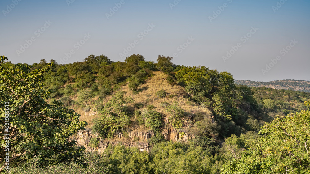 Jungle landscape on a sunny day. Green vegetation on the hillside. Mountains in the distance. Clear blue sky. Ranthambore National Park. India.