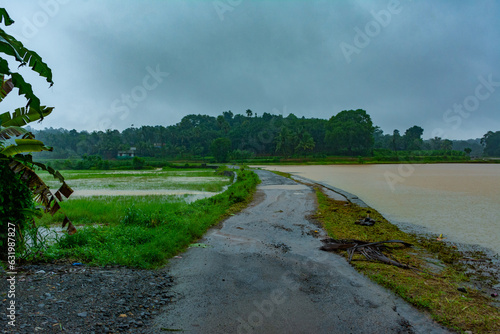Kerala flood 2019