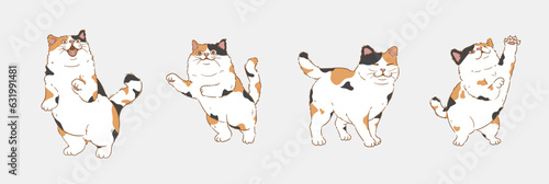 Fotografie Cartoon happy calico cat set