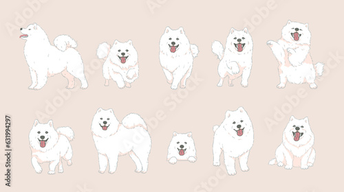 Photos Cute Cartoon Samoyed Dog set