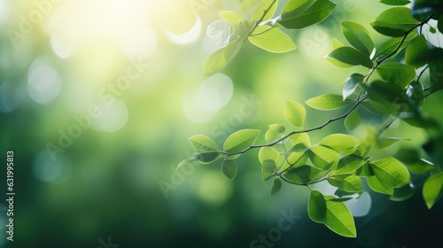 Beautiful natural spring summer defocused panoramic background frame with fresh juicy foliage and bokeh outdoors in nature. Generative AI