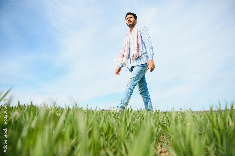 worry less ,indian farmer standing in his healthy wheat field worry less ,indian farmer standing in his healthy wheat field