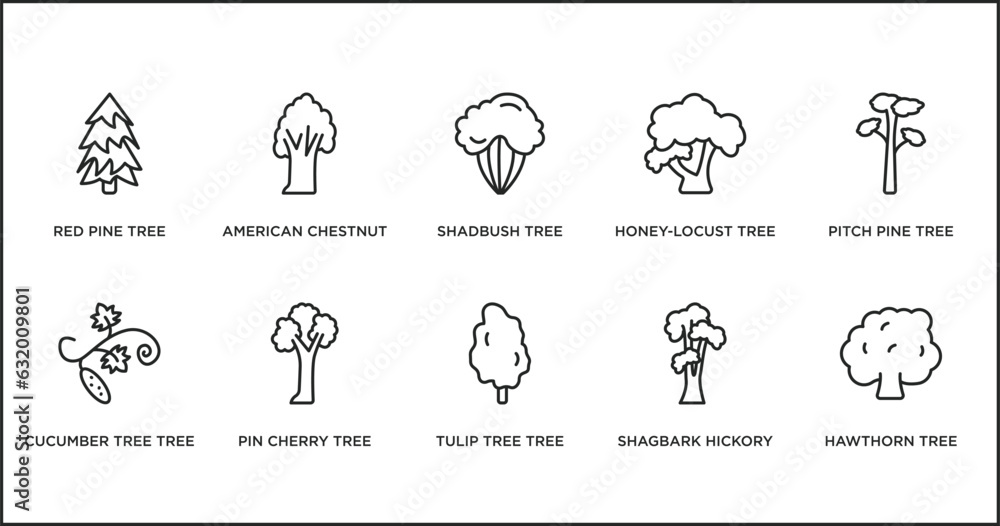 nature outline icons set. thin line icons such as shadbush tree, honey-locust tree, pitch pine tree, cucumber pin cherry tulip shagbark hickory vector.