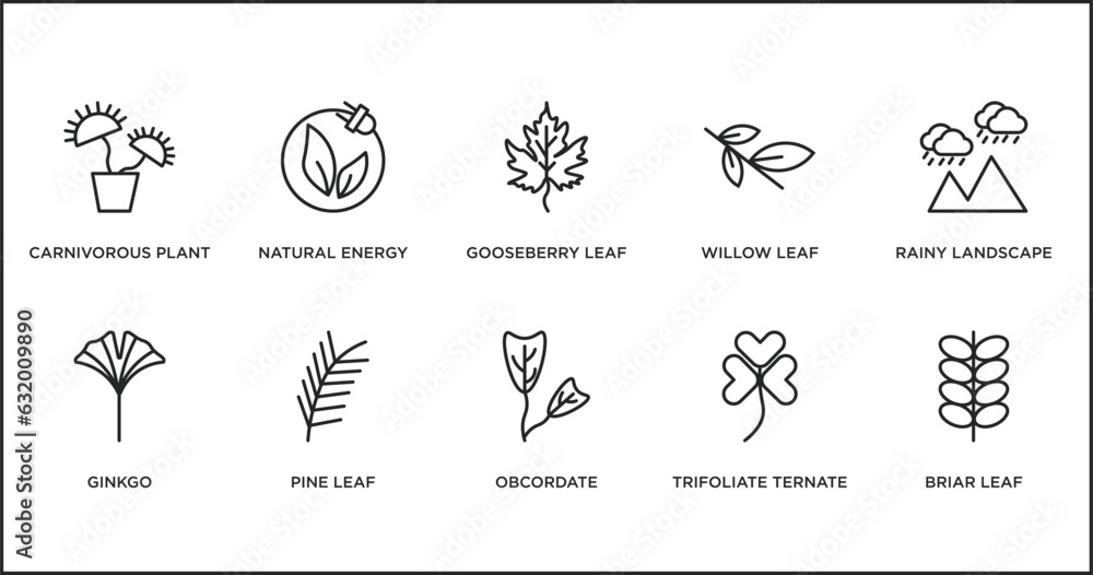nature outline icons set. thin line icons such as gooseberry leaf, willow leaf, rainy landscape, ginkgo, pine leaf, obcordate, trifoliate ternate vector.