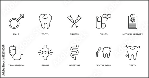 medical outline icons set. thin line icons such as crutch, drugs, medical history, transfusion, femur, intestine, dental drill vector.