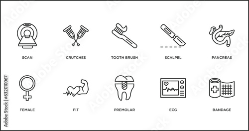 medical outline icons set. thin line icons such as tooth brush, scalpel, pancreas, female, fit, premolar, ecg vector.