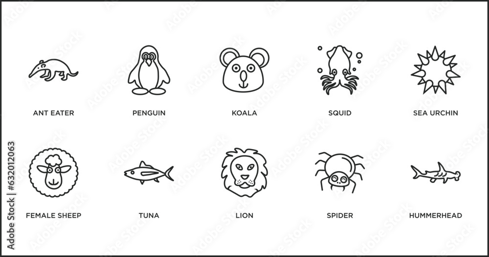 animals outline icons set. thin line icons such as koala, squid, sea urchin, female sheep, tuna, lion, spider vector.