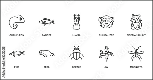 animals outline icons set. thin line icons such as llama  chimpanzee  siberian husky  pike  seal  beetle  aw vector.